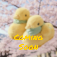 Yellow Slippers (Coming Soon)